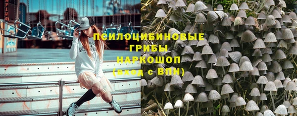 прущий лед Белокуриха