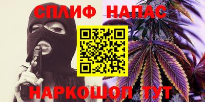 гашик Шахты