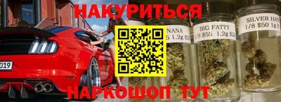 гашик Шахты
