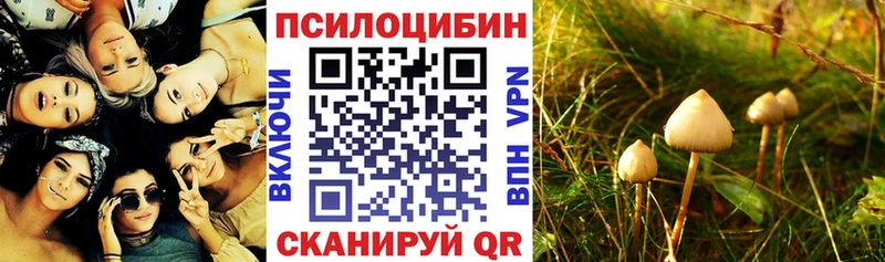 Галлюциногенные грибы MAGIC MUSHROOMS  Острогожск 