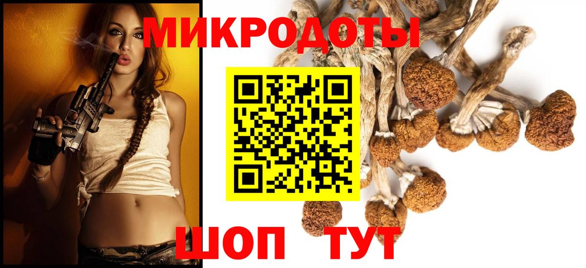 Острогожск  Псилоцибиновые грибы Psilocybine cubensis  Вход с VPN 