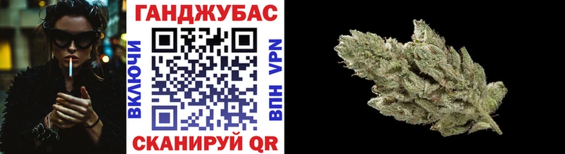 omg вход  где купить наркоту  Острогожск  Бошки марихуана гибрид 
